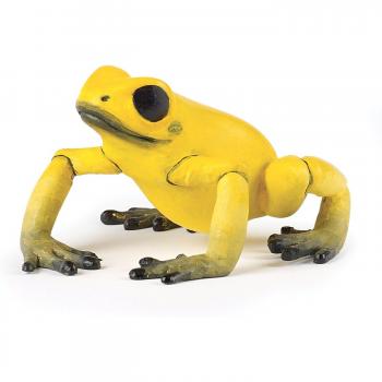 PAPO Gelber Äquatorialfrosch