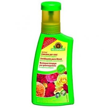 Engrais Roses Éco-Vert 250 ml – Neudorff