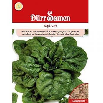 Dürr Samen Gründünger Spinat 250 g