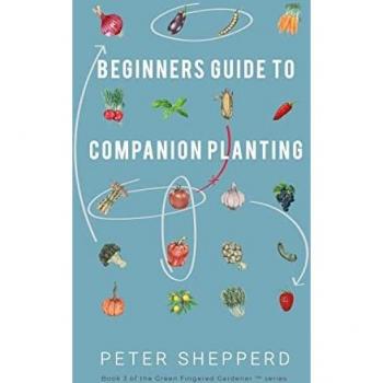 Beginners Guide to Companion Planting
