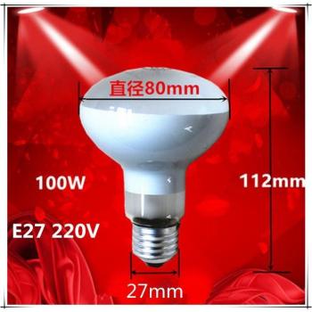 E27 Bathroom Heating Light Bulb, Insulated, Explosion-Proof, 220V, 100W/60W/40W, Set of 2