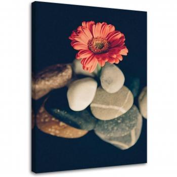 Stampa tessile Gerbera Flowers Zen Stones 40x60 color arancio