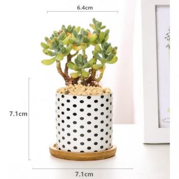 Modern Round Flower Pot with Geometric Patterns
