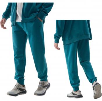 Pantaloni 4F Uomini Verde S