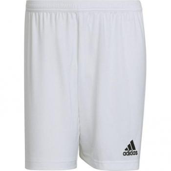 Adidas Entrada 22 Herren Shorts Weiß XS