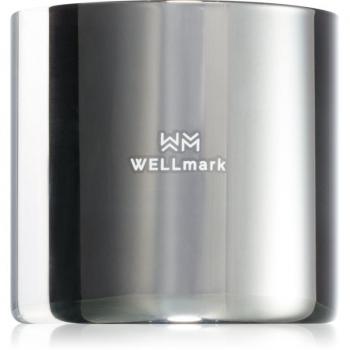 Wellmark Bold Future Scented Wax Candle