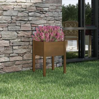 VidaXL Jardinière d'extérieur en pin massif Marron miel 50x50x70 cm