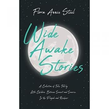 Steel, Flora Annie: Wide Awake Stories - A Collection of Tales Told by
