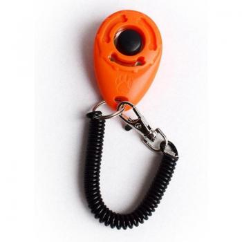 Bracelet de dressage extérieur pour chats