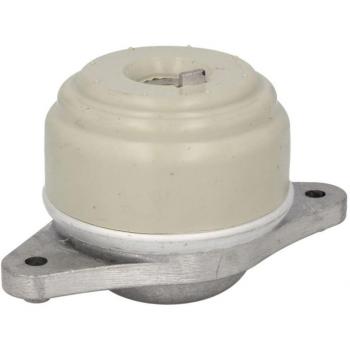 Soporte de motor REINHOCH RH11-3098