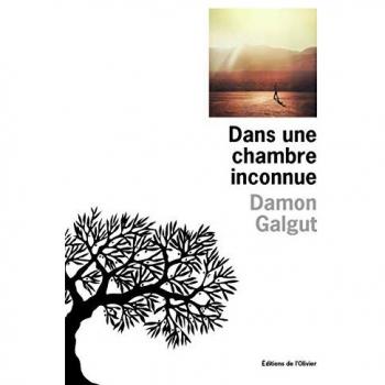 Damon Galgut Dans Une Chambre Inconnue