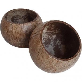 Bol en bois de noix de coco