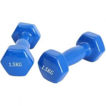 2PCS Colorful Dumbbell Set for Women
