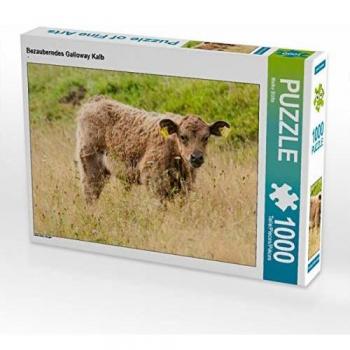 CALVENDO Puzzle Bezauberndes Galloway Kalb - 1000 Teile Foto-Puzzle