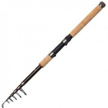 Caña de Carpfishing DAM Backbone II Tele 80