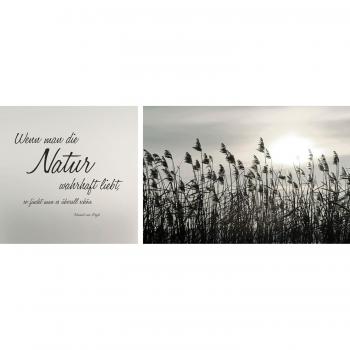 BlumenWelle Premium Leinwand – Natur-Spruchset