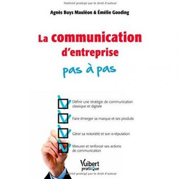 Agnès Buys Mauléon La Communication D'Entreprise Pas À Pas