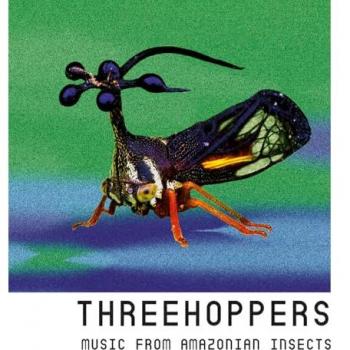 Trio Sauterelles - Mélodies des Insectes Amazoniens