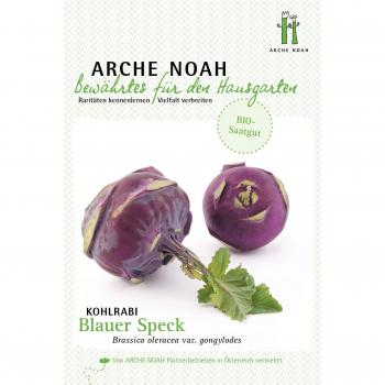 Cavolo Rapa Arche Noah Blauer Speck Biologico