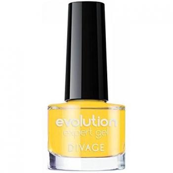 Divage Evolution Expert Gel Smalto Effetto Gel 108
