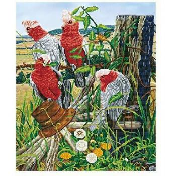 Galah Quartet Diamond Dotz Art Kit
