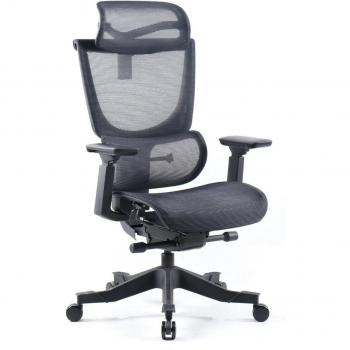 Elise Black Mesh Back Ergonomic Computer Chair with High Back and Padded Seat