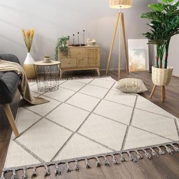 Tappeto Salotto Moderno Nordico Boho Chic Grigio con Frange, 120x160 cm
