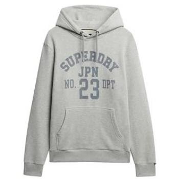 Sudadera con Capucha Superdry Athletic Essentials Gris Claro