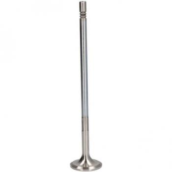 TRW Valve d'Admission 48310