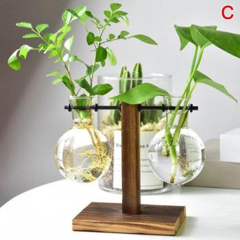 Vintage Glass Hydroponic Vase with Wooden Tray