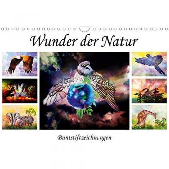 Wunder der Natur - Buntstiftzeichnungen