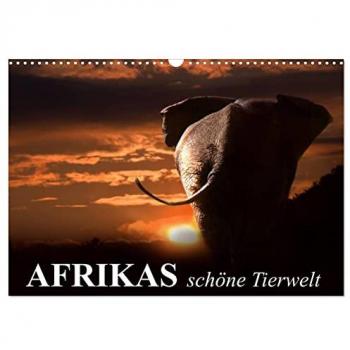 Afrikas schöne Tierwelt (Wandkalender 2025 DIN A3 quer) CALVENDO Monatskalender