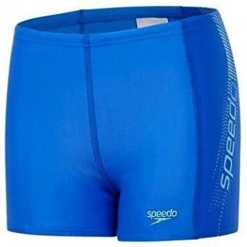 Speedo Jungen Badeanzug „Sport Logo“ – Bondi/Spearmint 164 cm