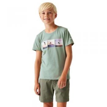 Bosley Concha Tropical Kids