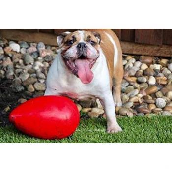Jolly Pets: Pelota de Huevo Interactiva, Color Rojo