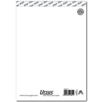 Bloc Note A5 Ursus