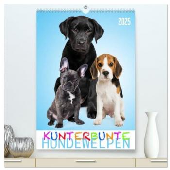 Kunterbunte Hundewelpen (hochwertiger Premium Wandkalender 2025 DIN A2 hoch) Kunstdruck in Hochglanz