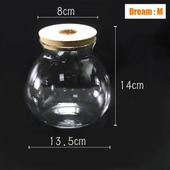 Small Glass Fish Tank