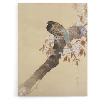 Artery8 Pheasant on Cherry Blossom Branch – Beige Canvas Art (18x24)