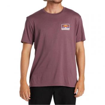 Camiseta Billabong Walled Vintage Violeta