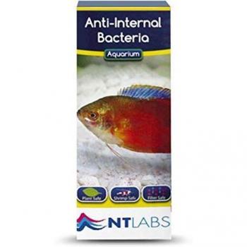 NT Labs Anti-Bacterial Mouthwash Against Internal Bacteria 100ml