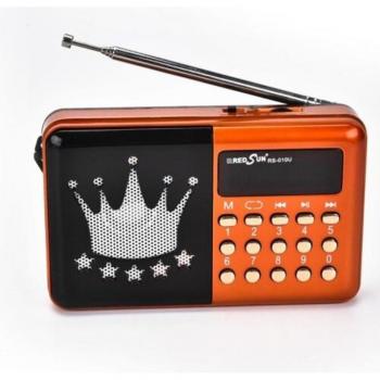 Radio Fm Rs-010u Lettore Musicale Portatile con MicroSD, MMC, USB e AUX