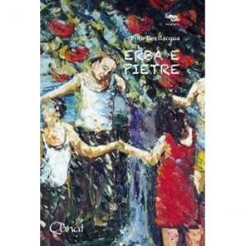 Erba e pietre