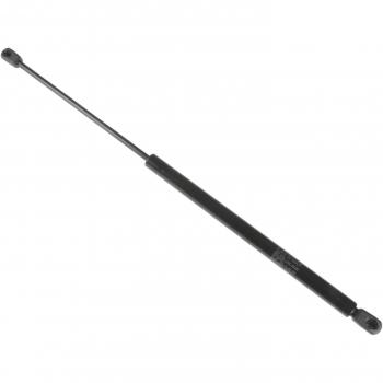 Blue Print Gas Strut Tailgate Spring Pack of 1