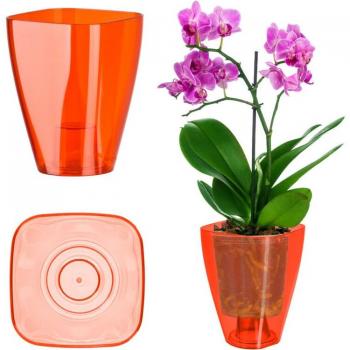 Red 12‑cm Square Orchid Container by KADAX