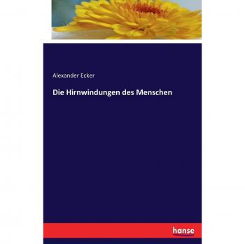 Die Hirnwindungen des Menschen