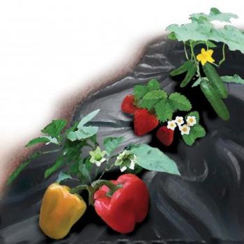 Bauherr Bâche anti-mauvaises herbes SB-Rolle 1,5 × 18 m – 70 g/m² – Noir