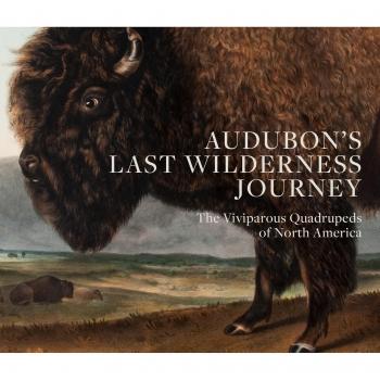 Audubon's Last Wilderness Journey