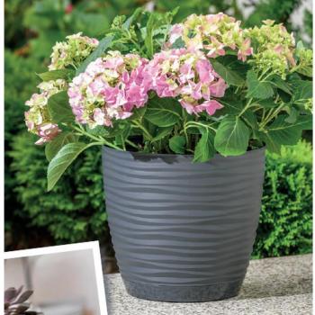 Flowerpot Form Plastic Petit 3030 Ø 16,7 cm grigio