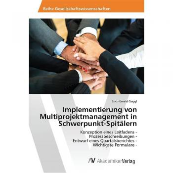Implementierung von Multiprojektmanagement in Schwerpunkt-Spitälern: Konzeption eines Leitfadens - Prozessbeschreibungen - Entwurf eines Quartalsberichtes - Wichtigste Formulare -